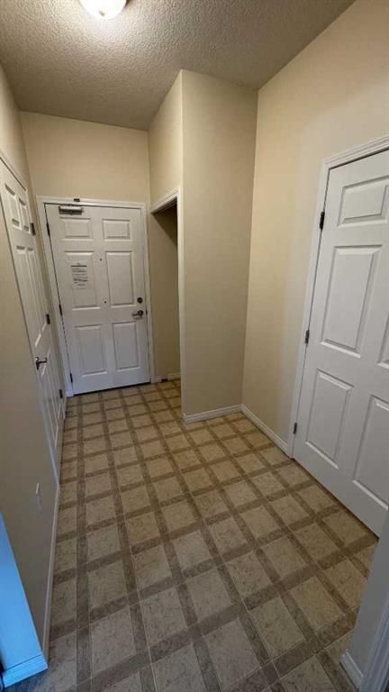 226, 10402 111 Street  - Photo 30