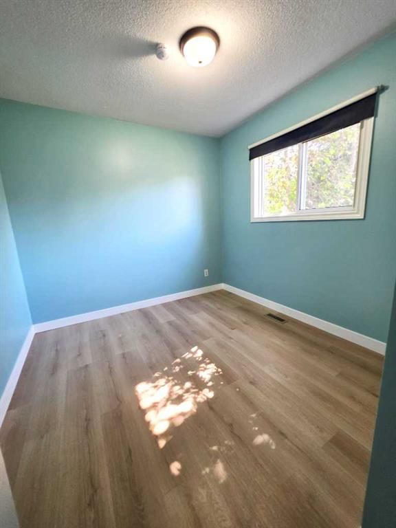 11316 97 Street  - Photo 11