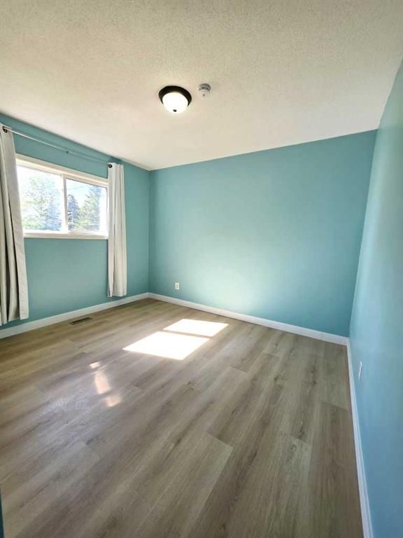 11316 97 Street  - Photo 12