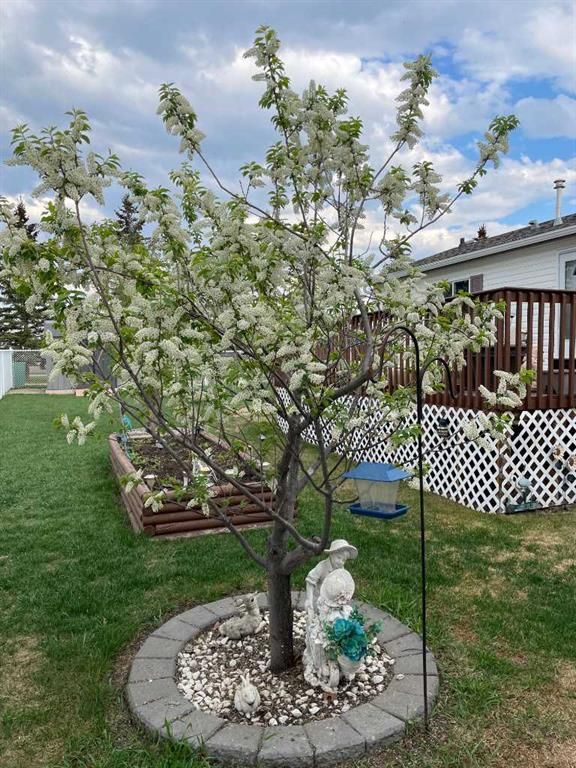 653 Carley Close   - Photo 27