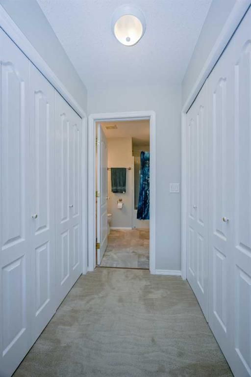 10626 Royal Oaks Drive  - Photo 18