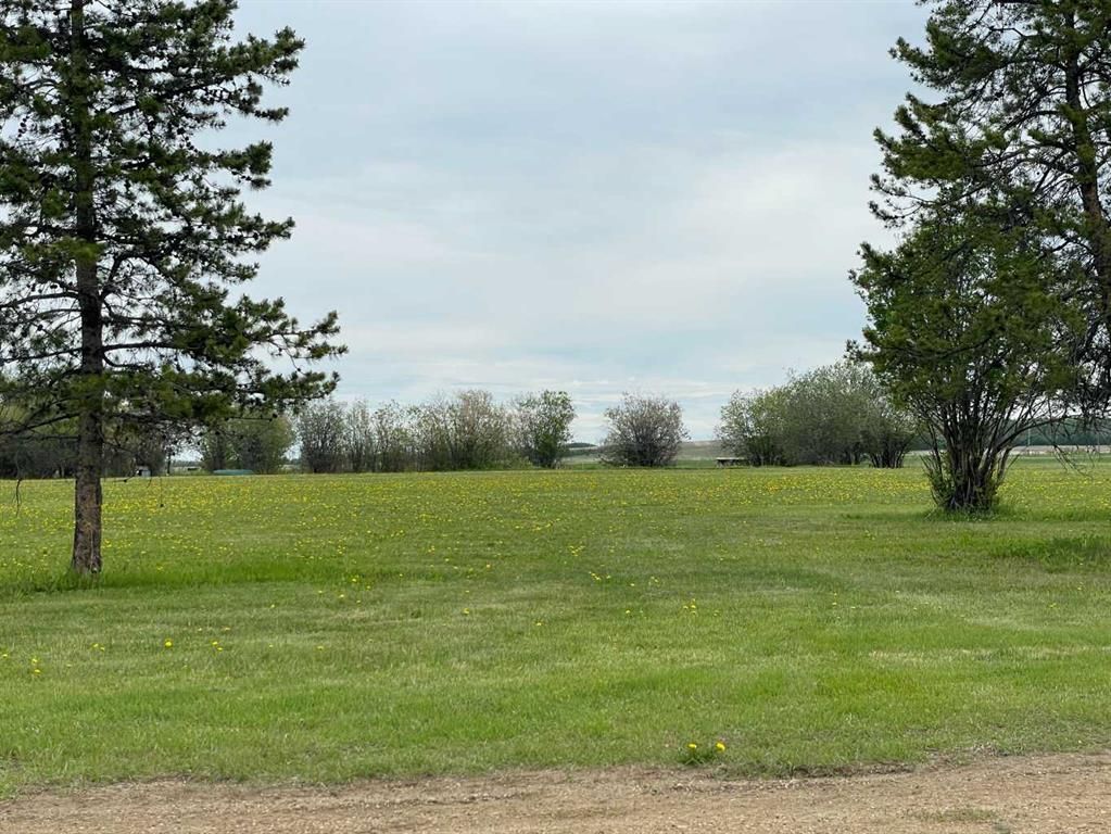 770052 RGE RD 52  NW - Photo 18