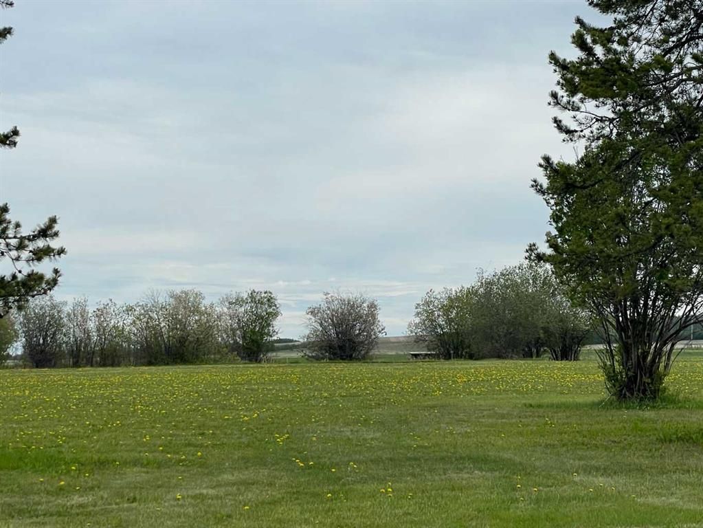 770052 RGE RD 52  NW - Photo 19