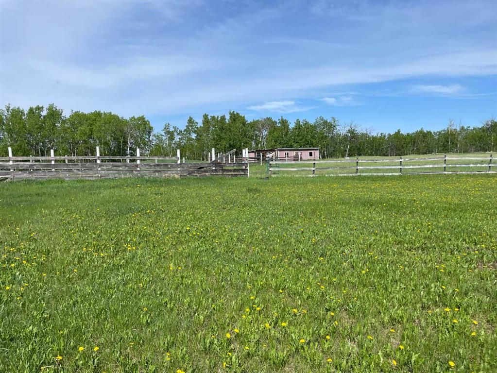 770052 RGE RD 52  NW - Photo 27