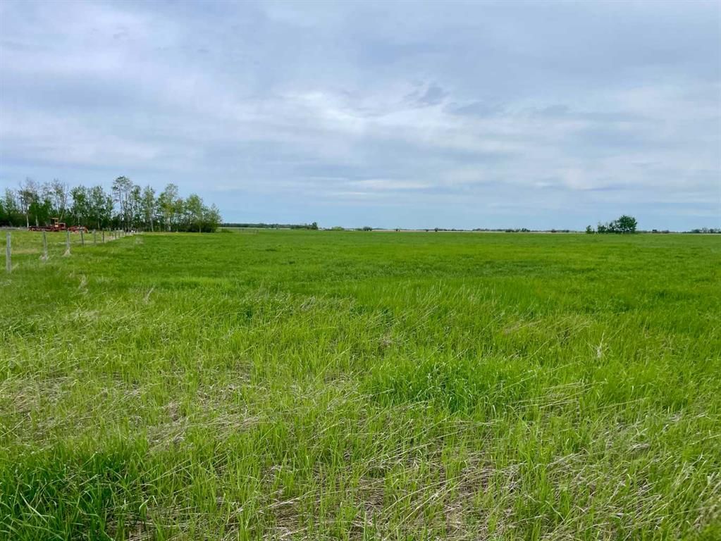 770052 RGE RD 52  NW - Photo 5