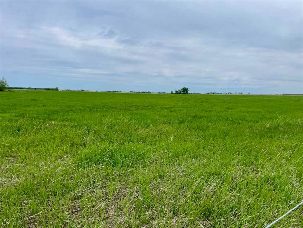 770052 RGE RD 52  NW - Photo 6