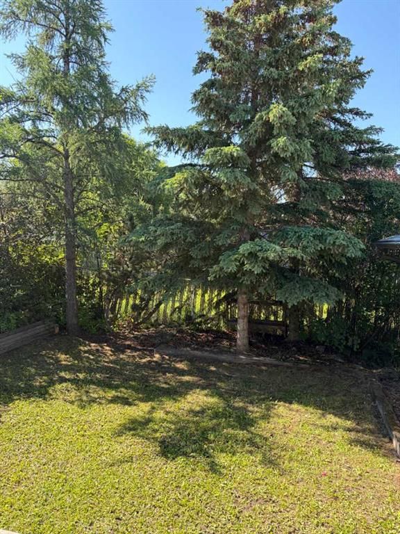 9219 97 Avenue  - Photo 15