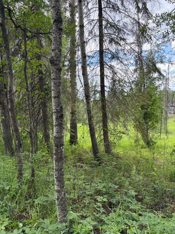  Lot 20 Block 1   - Photo 10