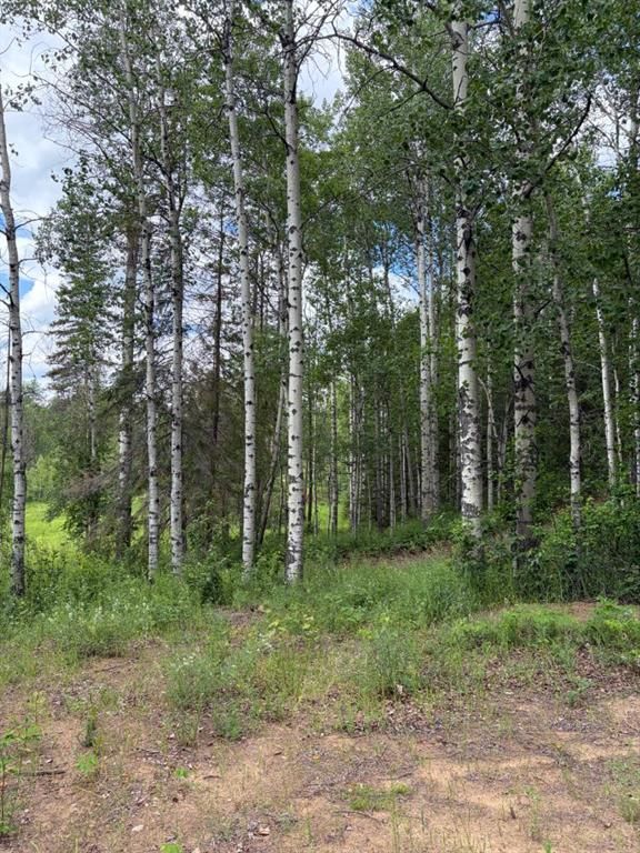  Lot 20 Block 1   - Photo 6