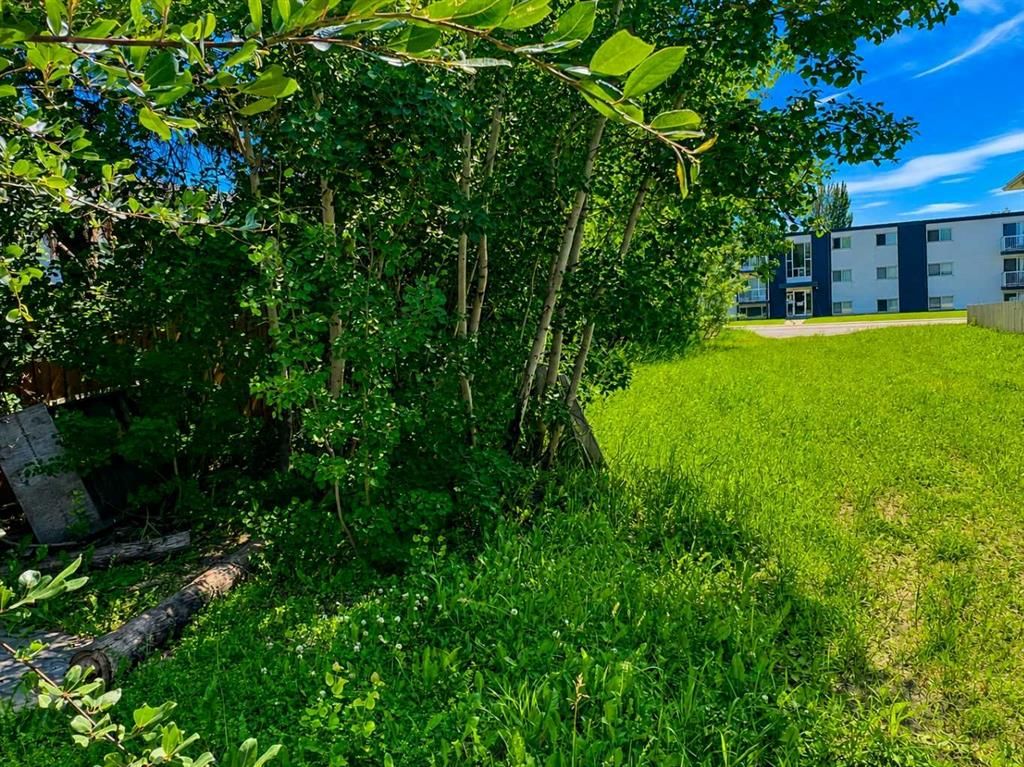 9810 108 Avenue  - Photo 4