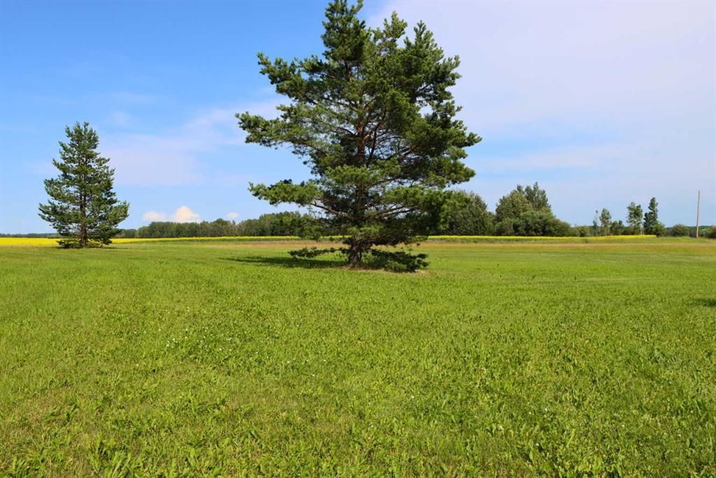 71004 Range Road 202   - Photo 38