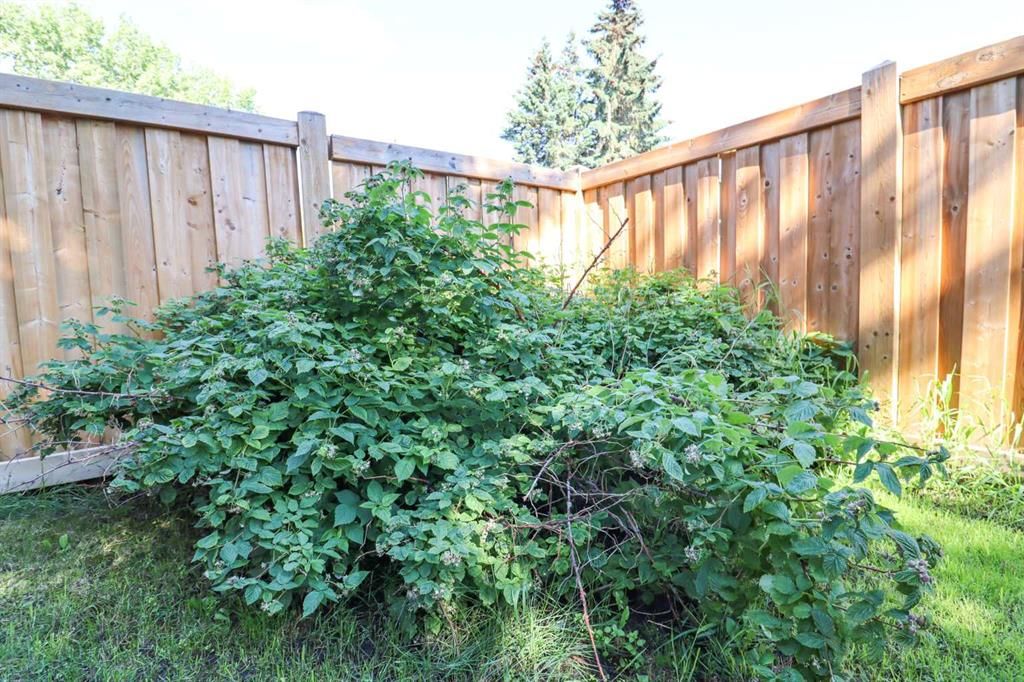 9616 76 Avenue   - Photo 18