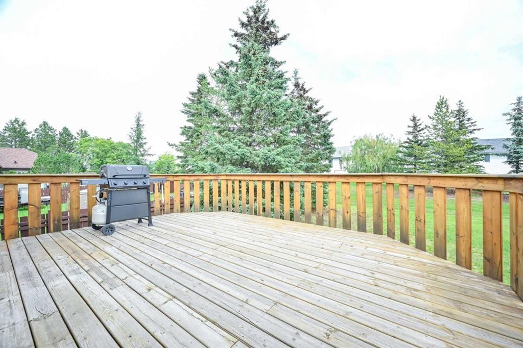 902 Birch Street  - Photo 5