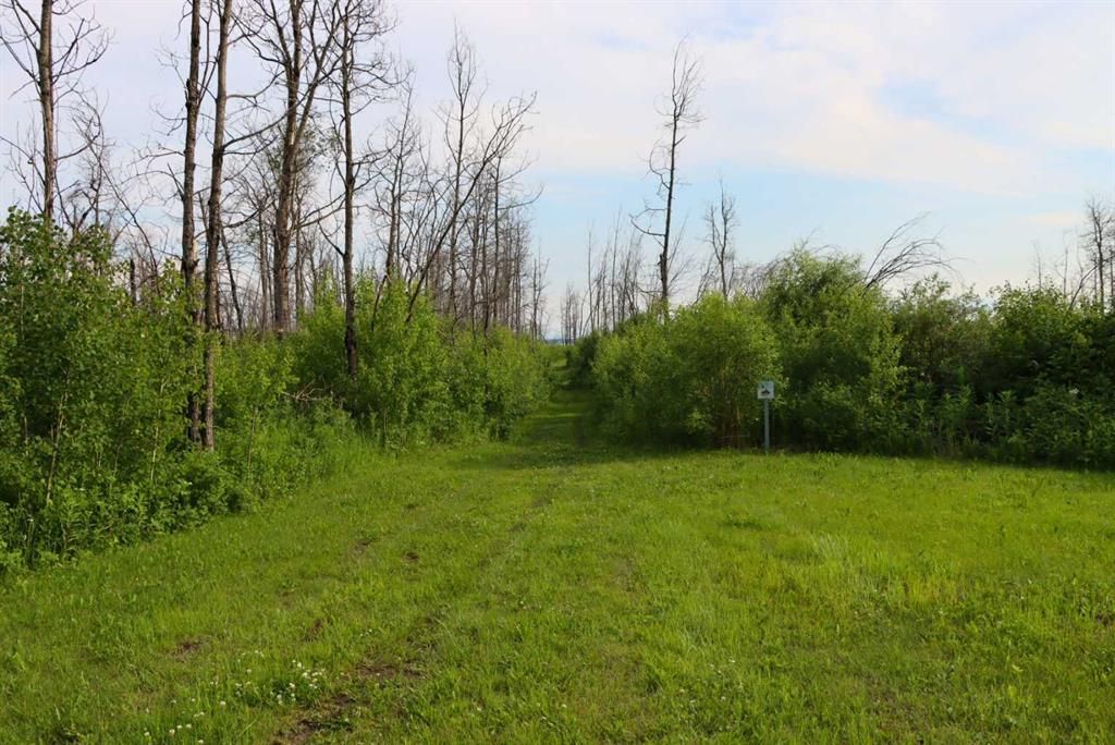 111, 71127 Range Road 234   - Photo 41