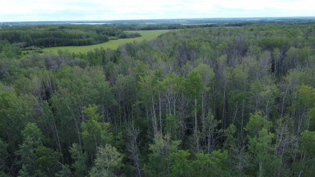 Rge Rd 120 Twp Rd 740   - Photo 10