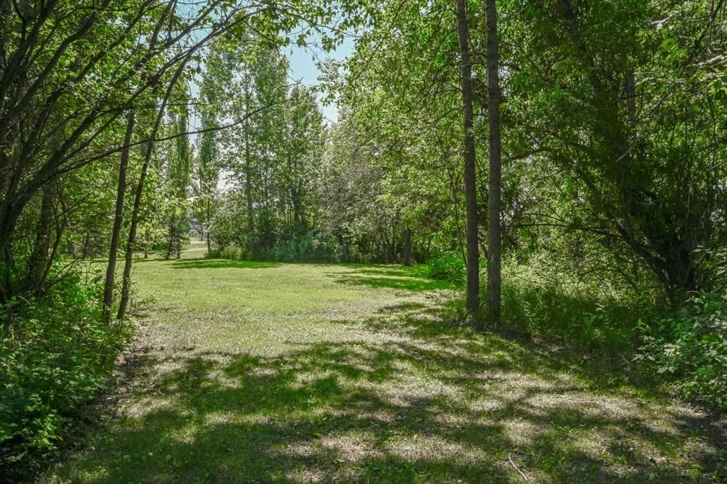85, 712064 Range Road 51   - Photo 39
