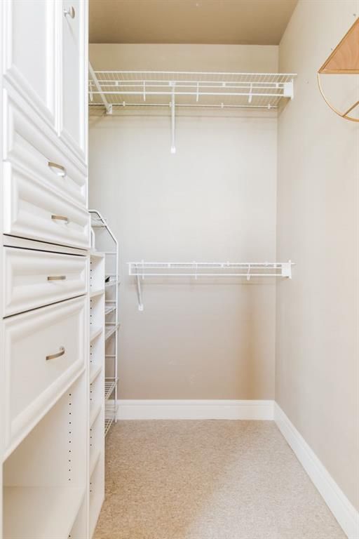 11726 Copperwood Road  - Photo 15