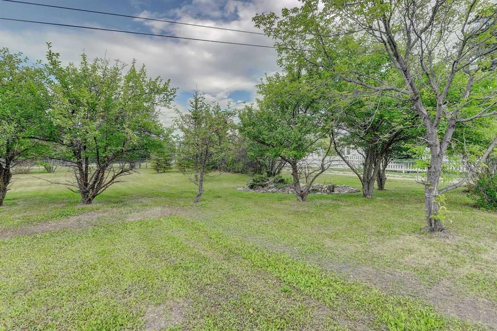 918 5 Avenue  - Photo 27