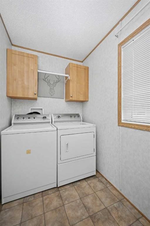 8803 86 Avenue  - Photo 17