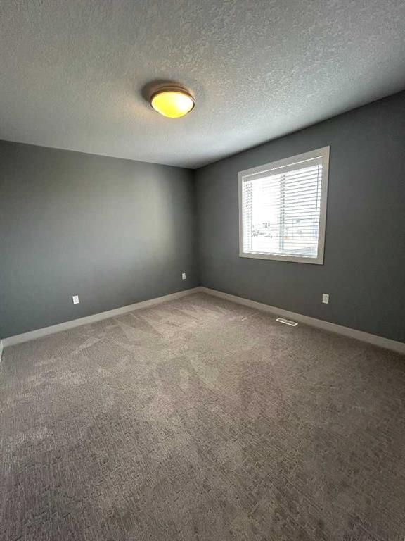 10630 114C Street  - Photo 11