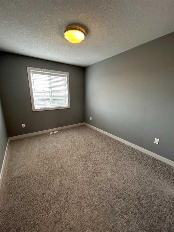 10630 114C Street  - Photo 12