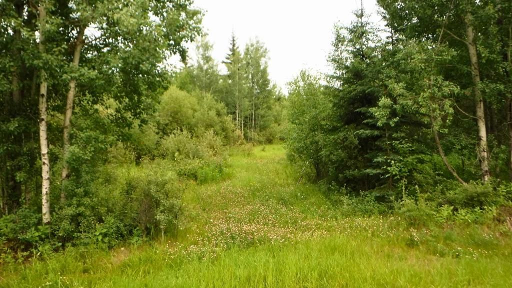  Range Road 231   - Photo 2
