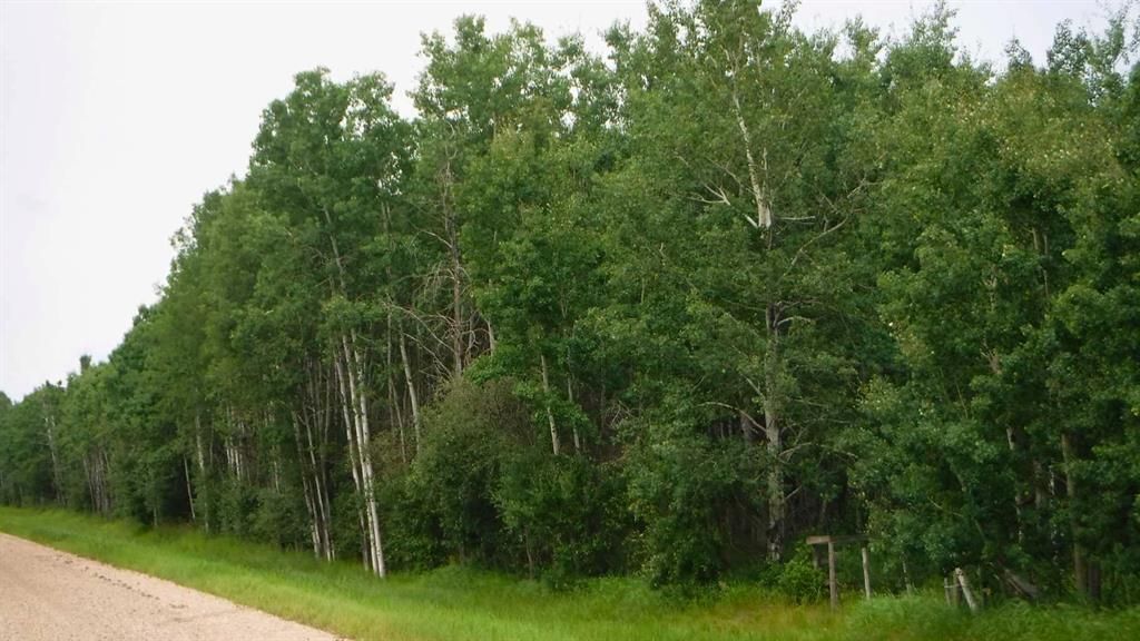  Range Road 231   - Photo 5