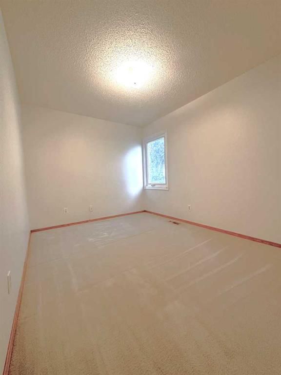 9541 88 Avenue  - Photo 26
