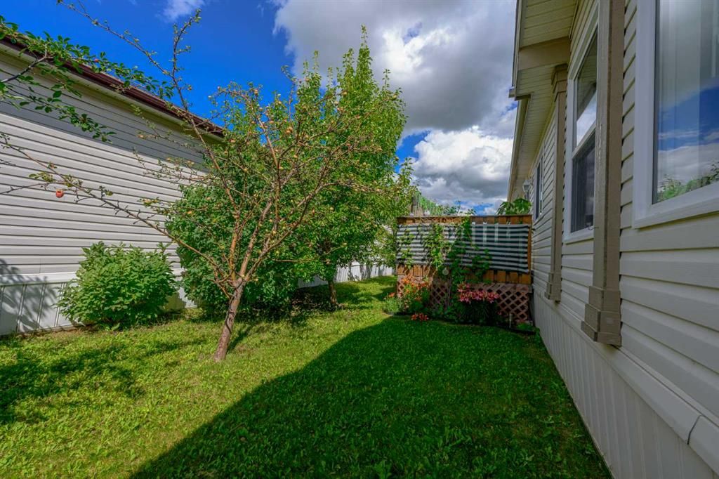 8505 90A Street  - Photo 29