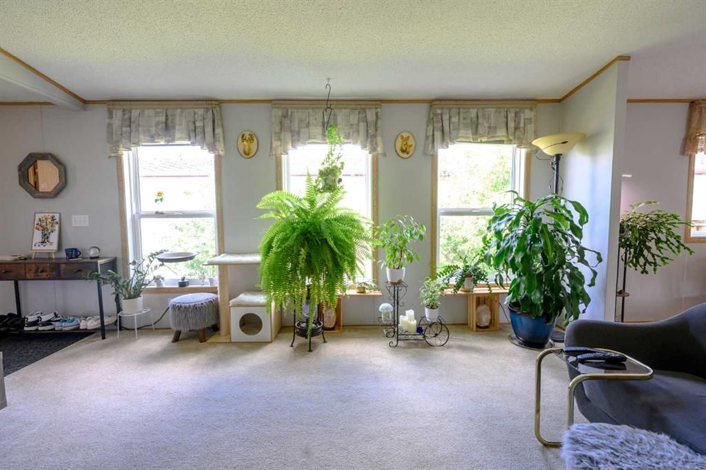 8505 90A Street  - Photo 5