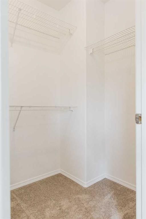 6221 91 Street  - Photo 23