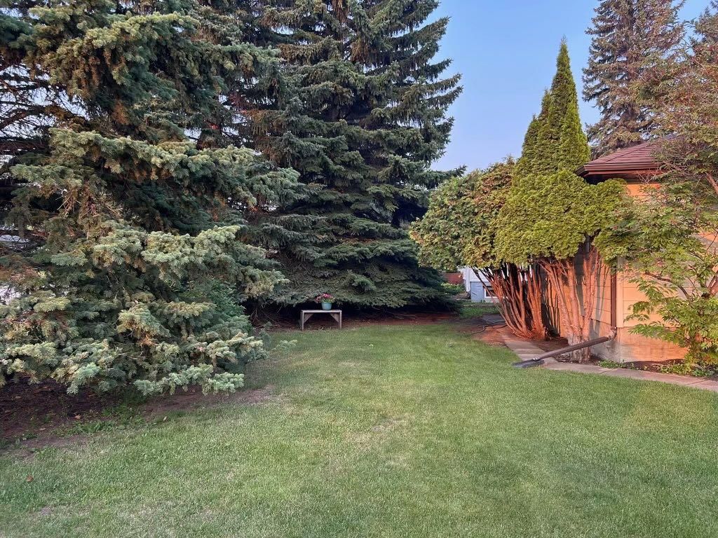 9827 105 Avenue  - Photo 18