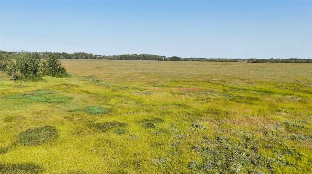 795008 Range Road 44   - Photo 10