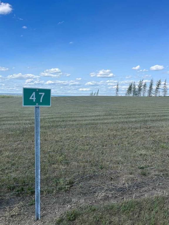 47 713019 Range Road 71   - Photo 7