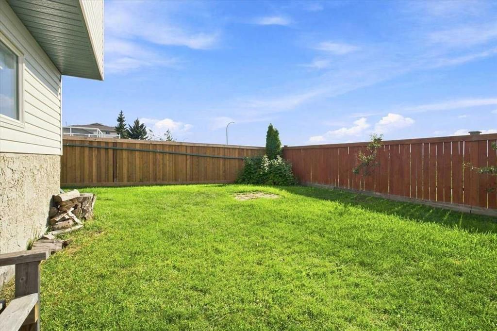 12314 107A Street  - Photo 25