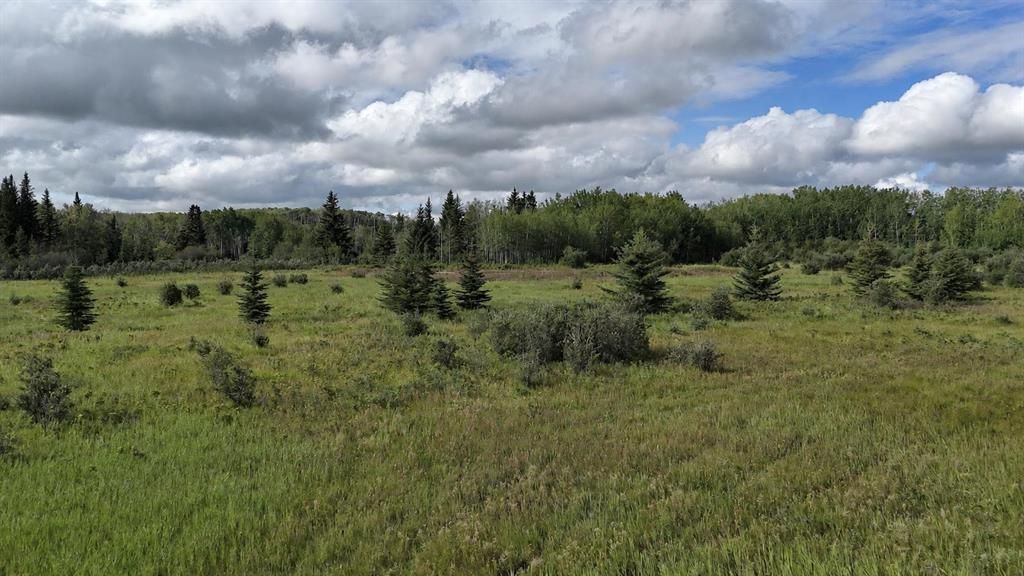 Lot 1 Bock 1 Plan 0520001 TWP RD 722A   - Photo 12