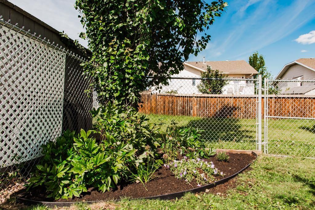 10610 Michaelis Boulevard  - Photo 40