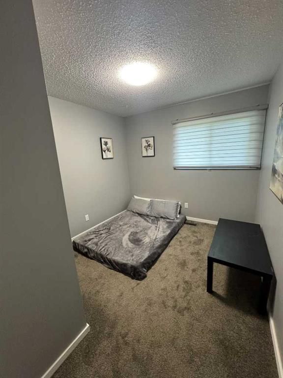 7830 Cedar Wood Park   - Photo 11