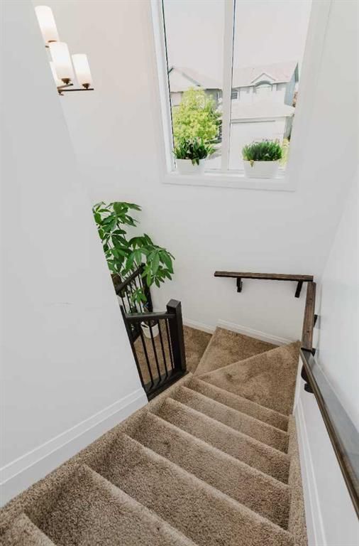8013 112B Street  - Photo 14