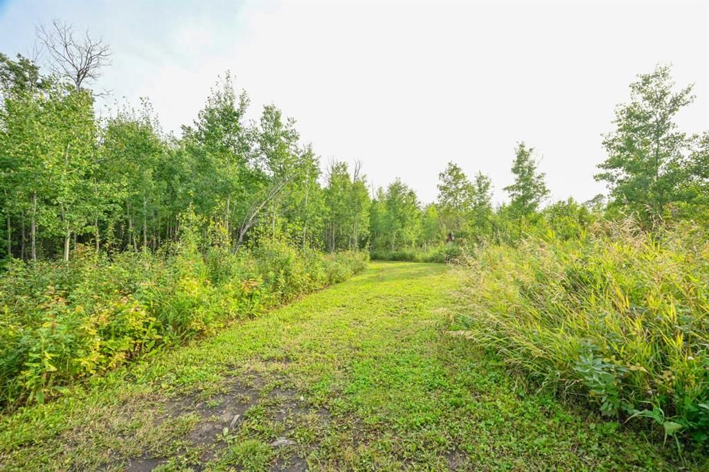 743046 Range Road 41 Range  - Photo 33