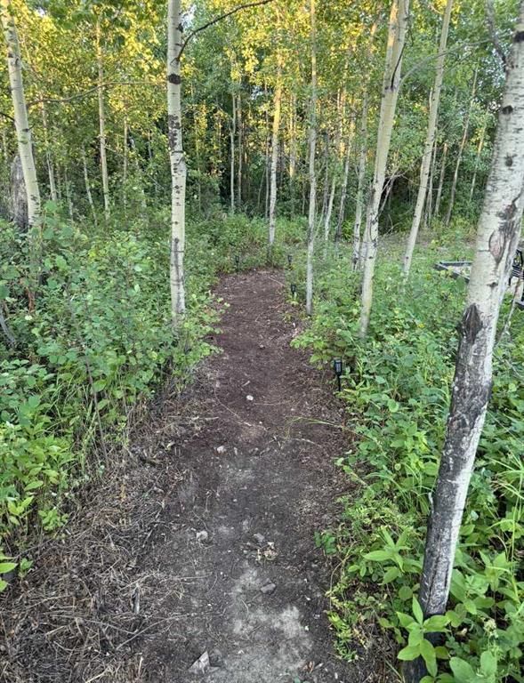 743046 Range Road 41 Range  - Photo 34