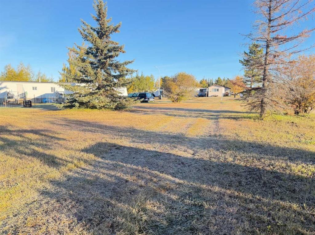 9701 107 Street  - Photo 3