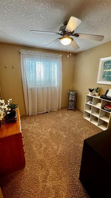 57 Pinnacle Heights  - Photo 14