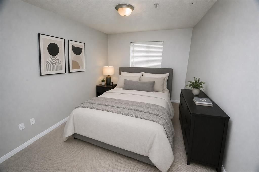 102, 9810 96 Street  - Photo 8