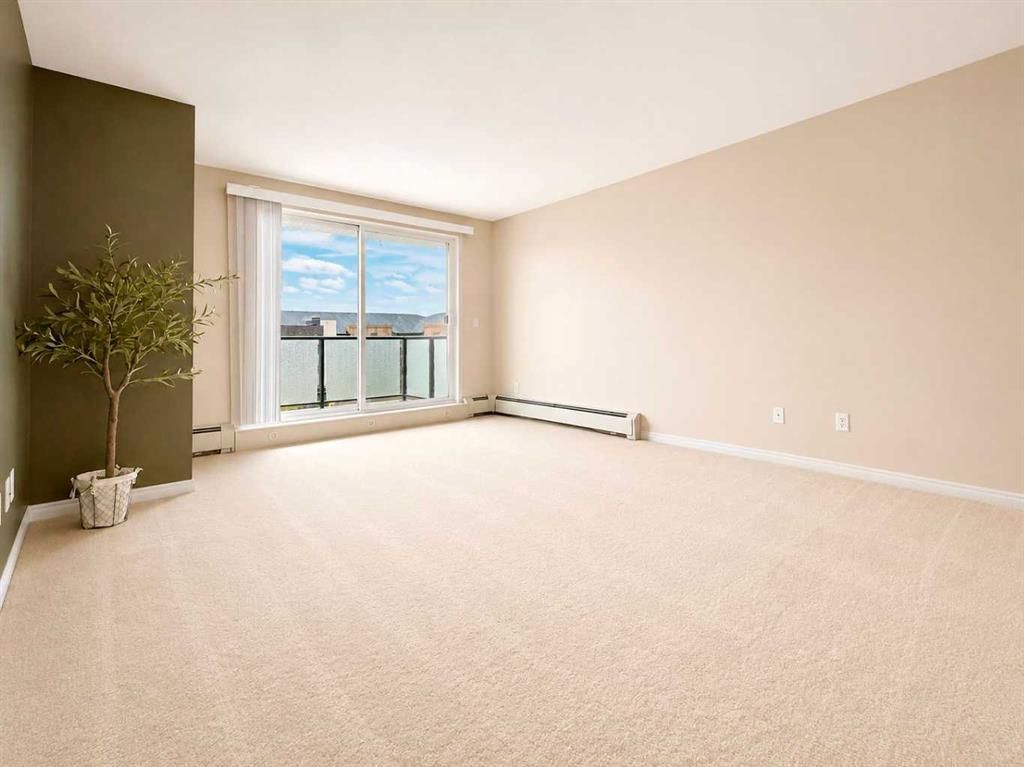 404, 9124 96 Avenue  - Photo 9