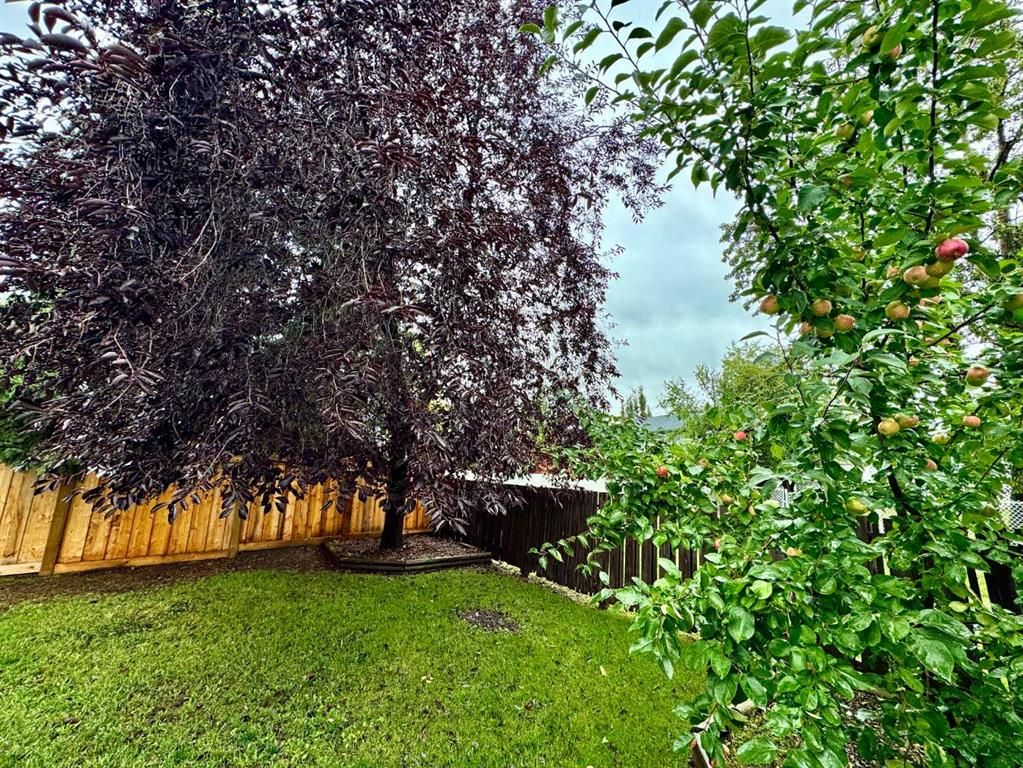 9510 81 Avenue  - Photo 26