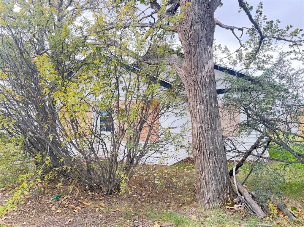 10107 102 Avenue  - Photo 3