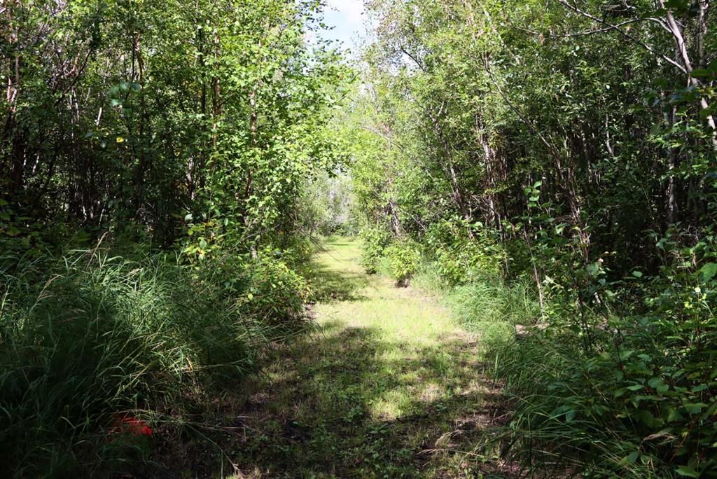 72365 Highway 49   - Photo 10