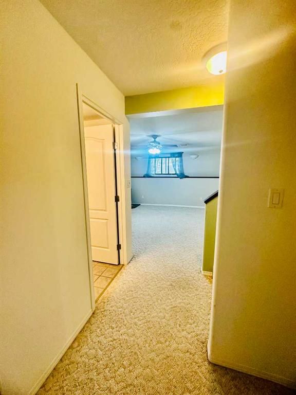10625 Royal Oaks Drive  - Photo 18