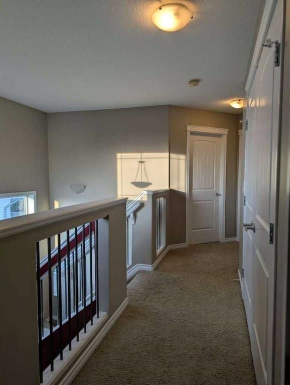 8625 Willow Drive  - Photo 16